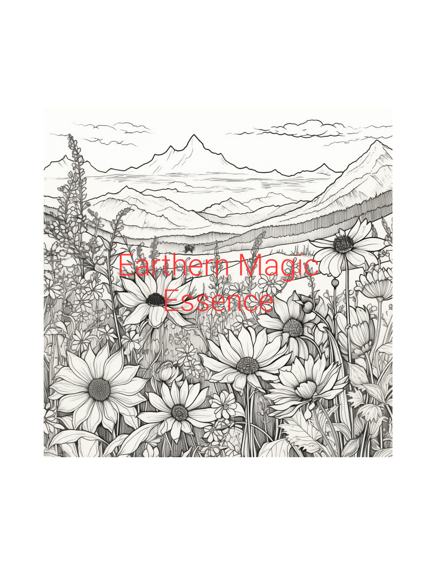 Nature's Harmony; Adult Coloring Book